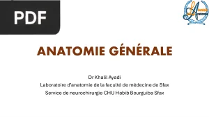 Anatomie Generale