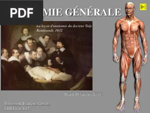 Introduction a l'Anatomie Generale