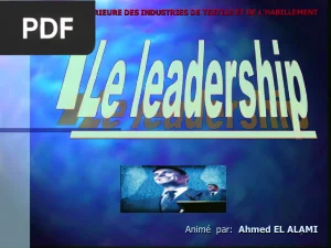 Le Leadership (Cours Complet)